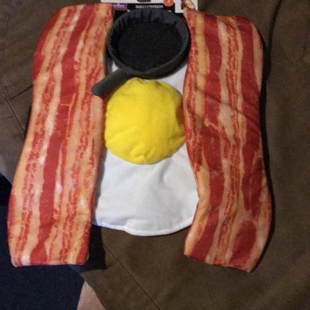 Dog costume